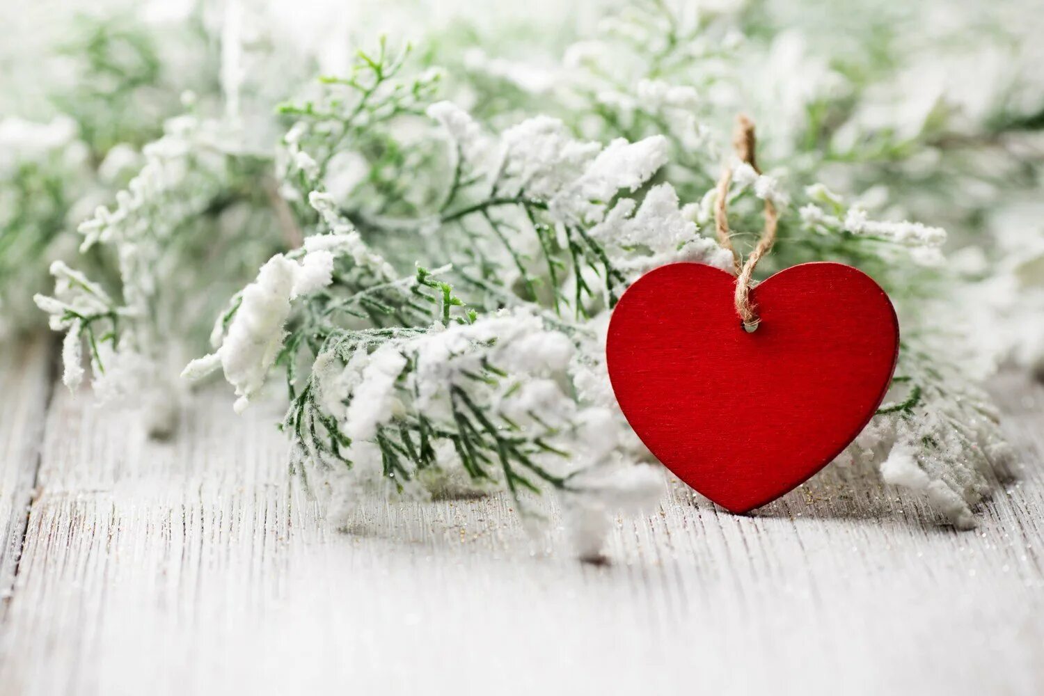 Зимнее сердце. Новый год сердце. Зимнее сердечко. Сердца на зимнем фоне.