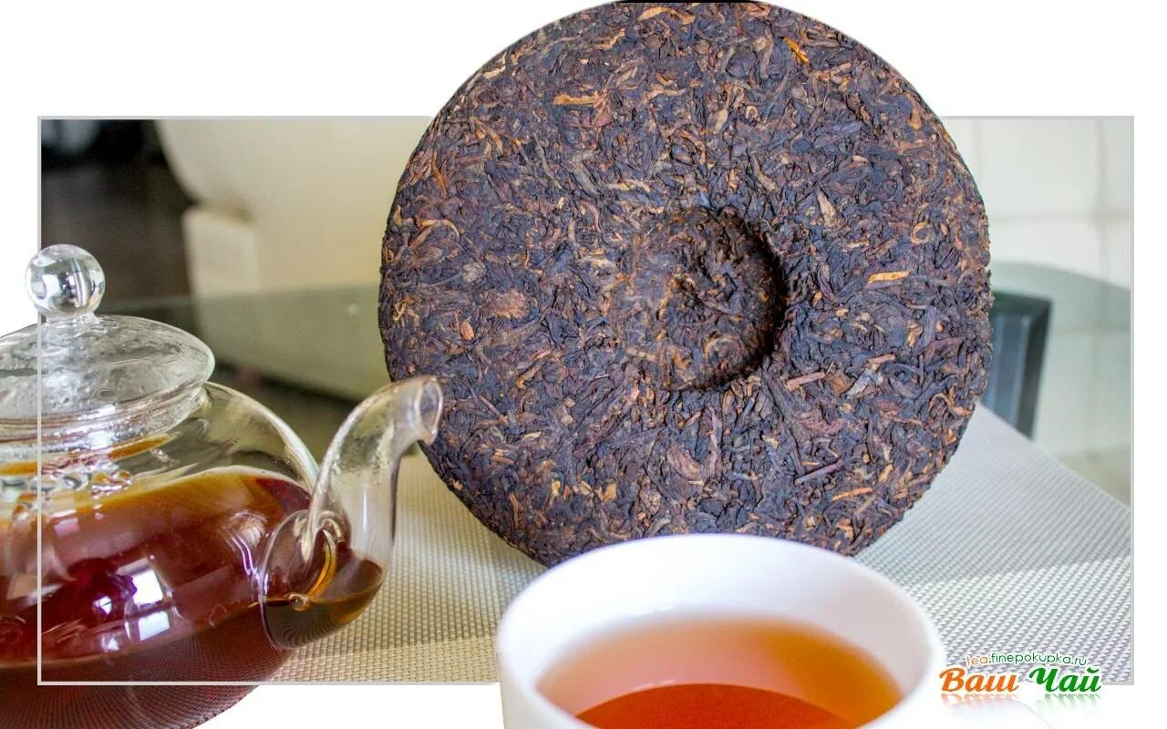 Шу и шен пуэр. Пуэр на ночь можно. Чай пуэр полезные. Пуэр на ночь можно. Пуэр на ночь можно.