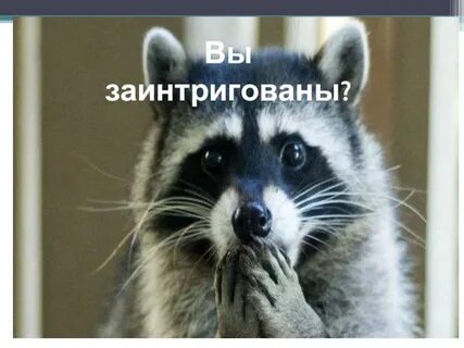 Заинтриговал