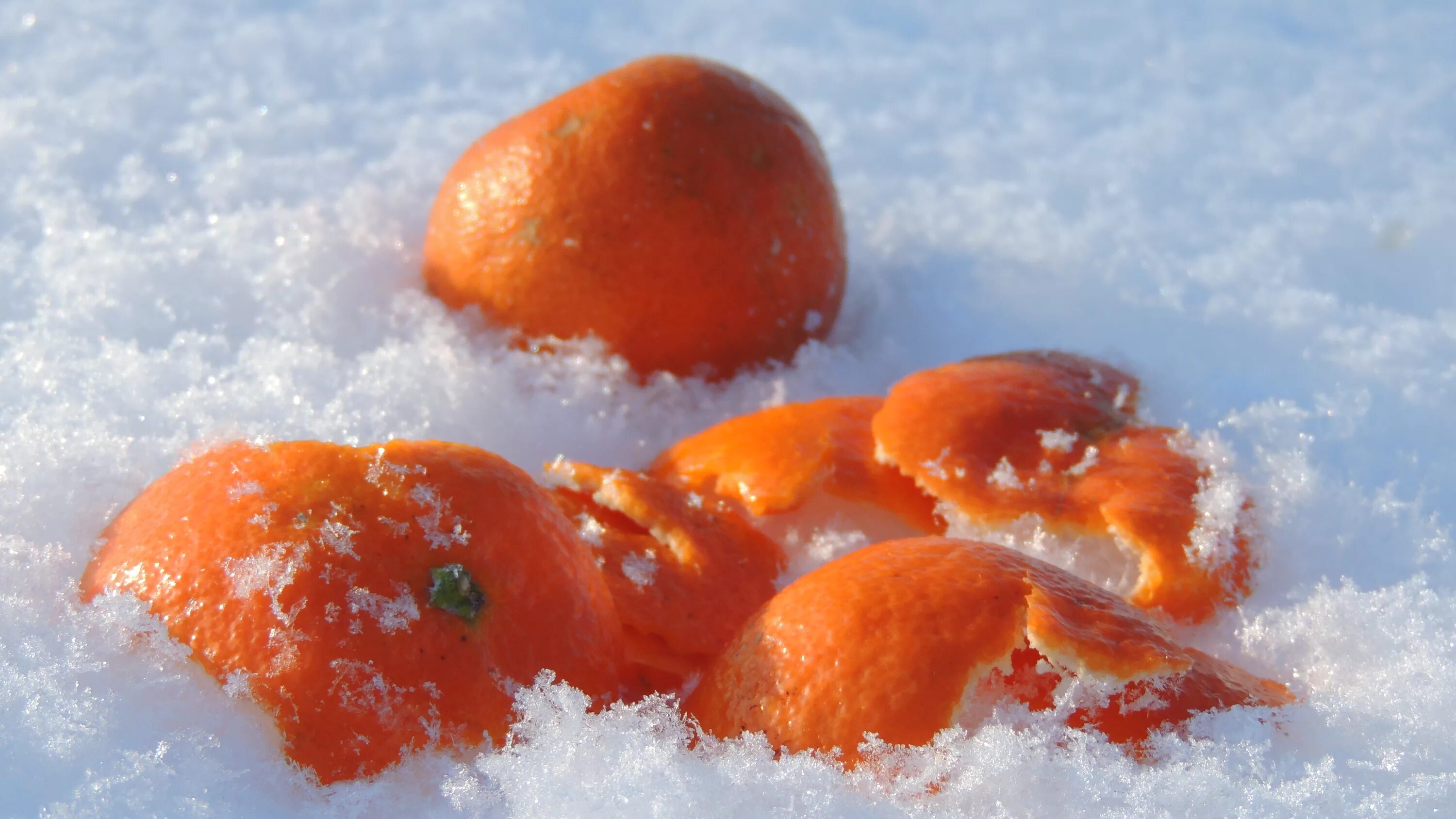 Море мандаринов. Мандарины на снегу. Апельсины на снегу. Мандарины новый год. Апельсины зимой.