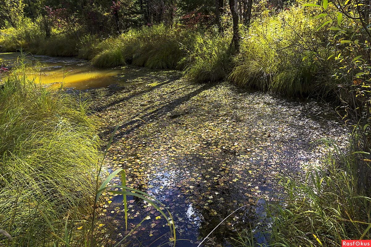 лист иркутск