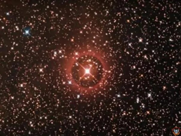 Largest star