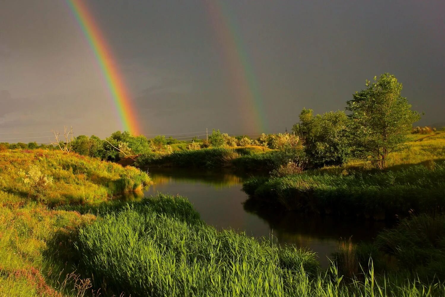 Фотографии радуги. Радуга после дождя. Красивая Радуга. Красивая природа с радугой. Радуга в природе.