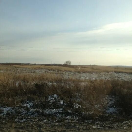 Лебедевка суджа. Озеро бурнас одесская область. Лебедевка суджа. Курская область лебедевка. Лебедевка (черниговская область).