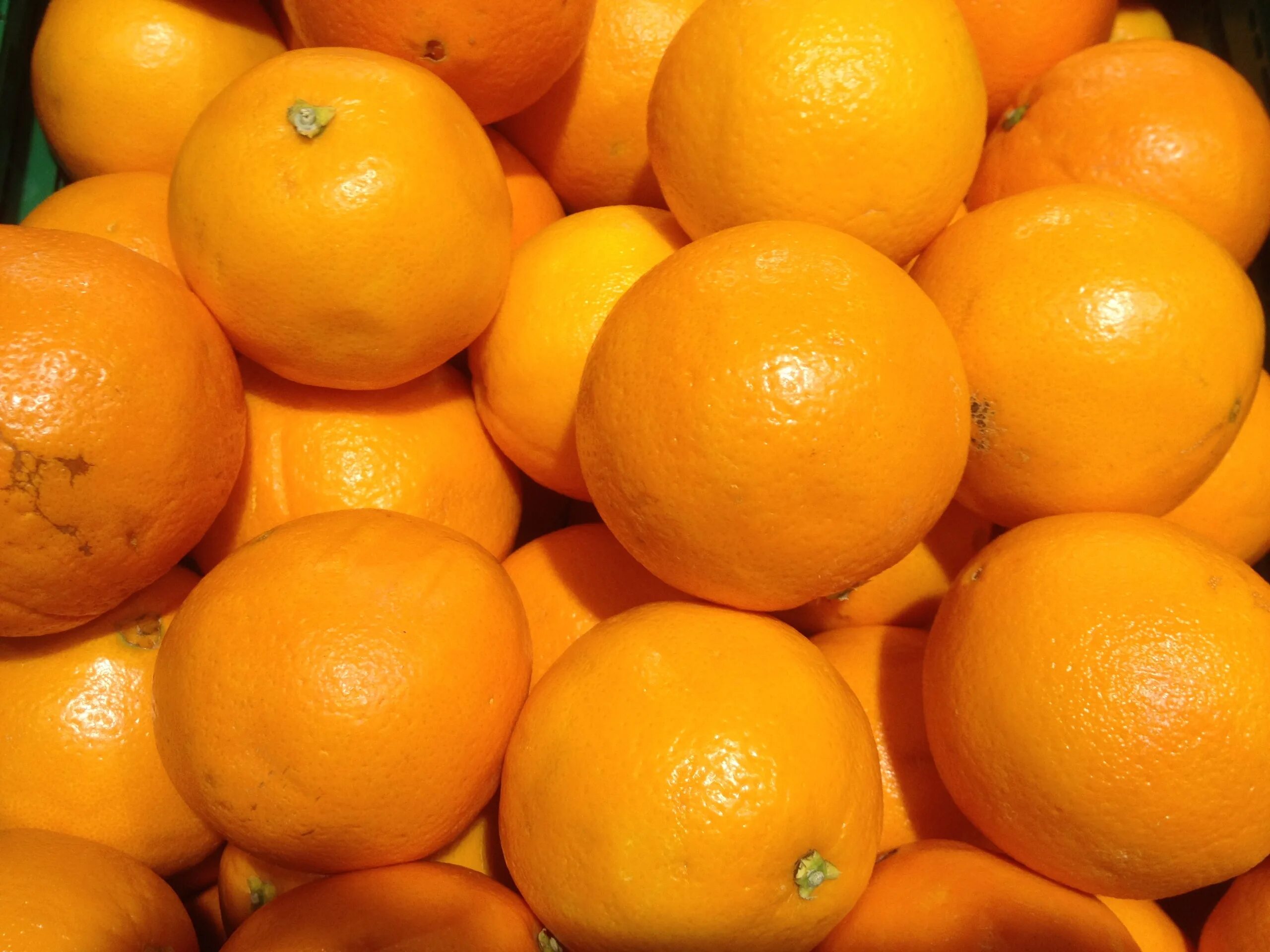 Big oranges