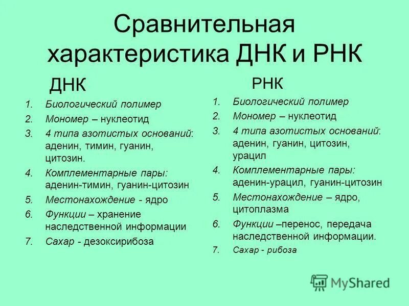Таблица характеристики рнк