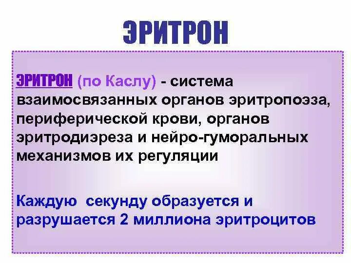 Эритрон. Понятие об эритроне. эритрон это физиология. система эритрон. эритрон понятие строение.