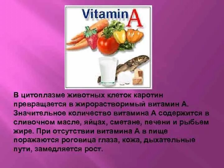 Витамин р для чего. Витамин р для чего