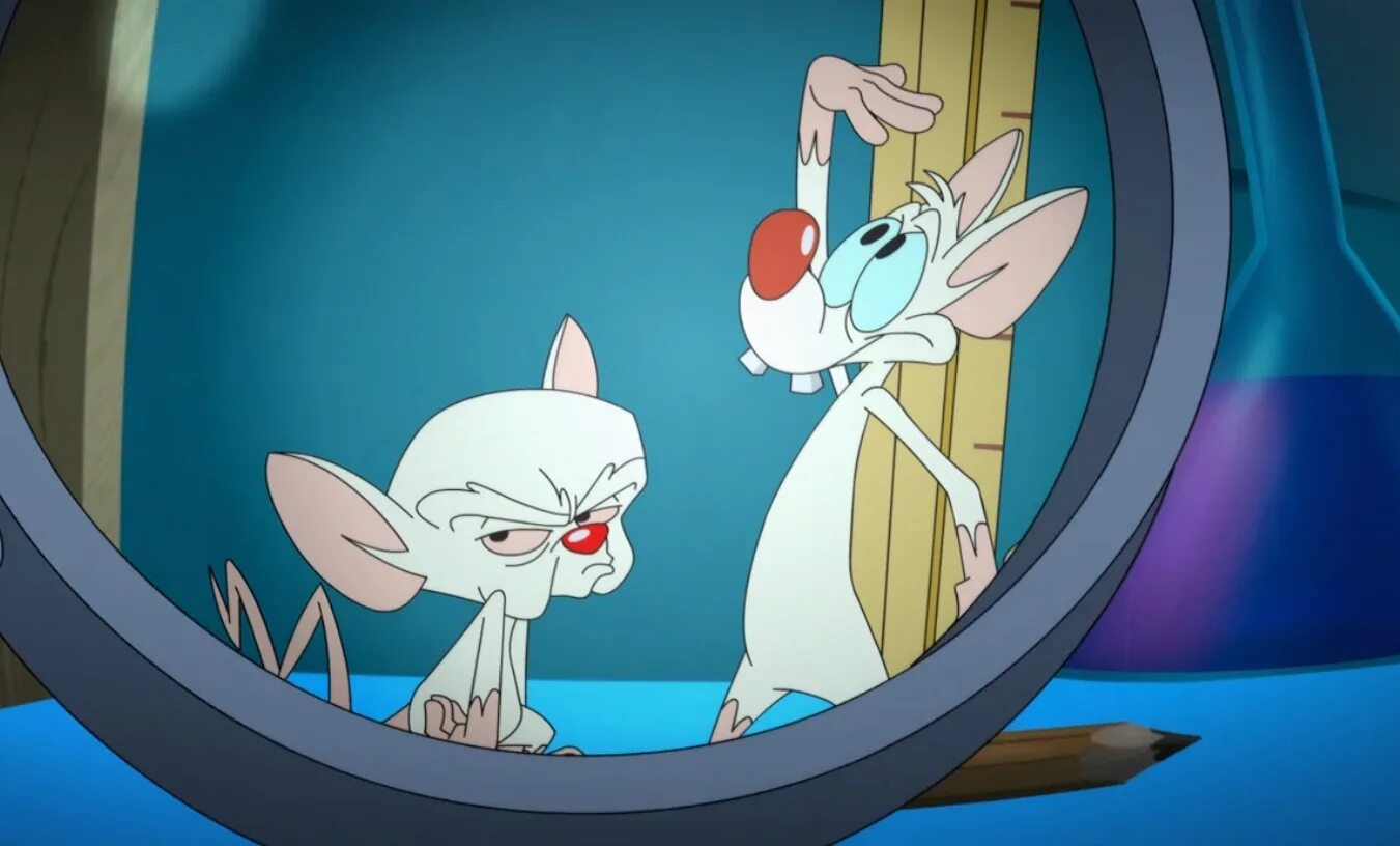 Pinky and brain. Пинки и Брейн 2020. Animaniacs 2020 Pinky and the Brain. Animaniacs Reboot 2020.