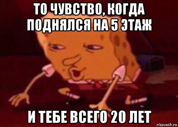 Поднимись когда с тобой говорят
