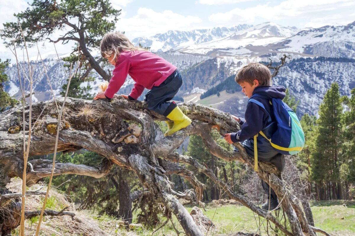 Mountain child. Детский туризм. Поход в горы с детьми. Горы для детей. Горный туризм дети.