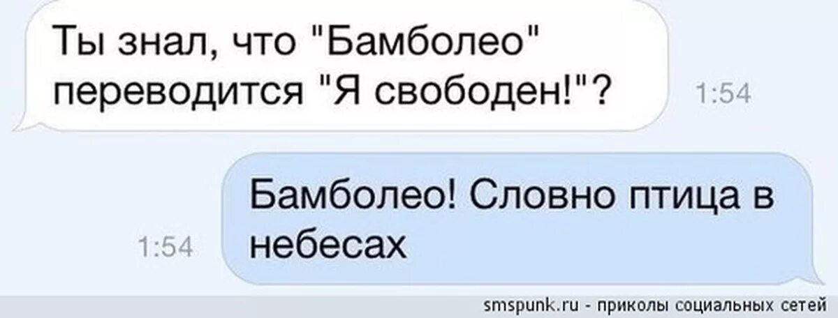 Как переводится suck. Я свободен словно птица в небесах. Я свободен. Бамболео словно птица в небесах. Свободен картинки приколы.