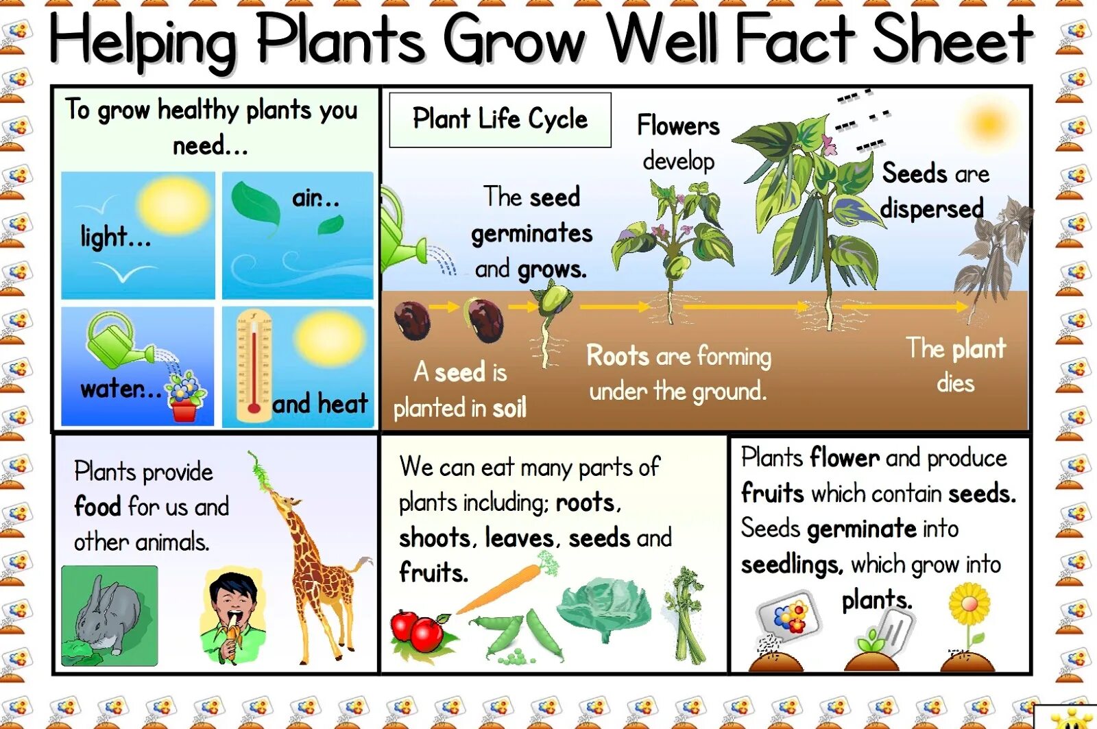 Grow every day. How plants grow. how to grow a plant. how to grow a plant for kids. plants grow worksheets.