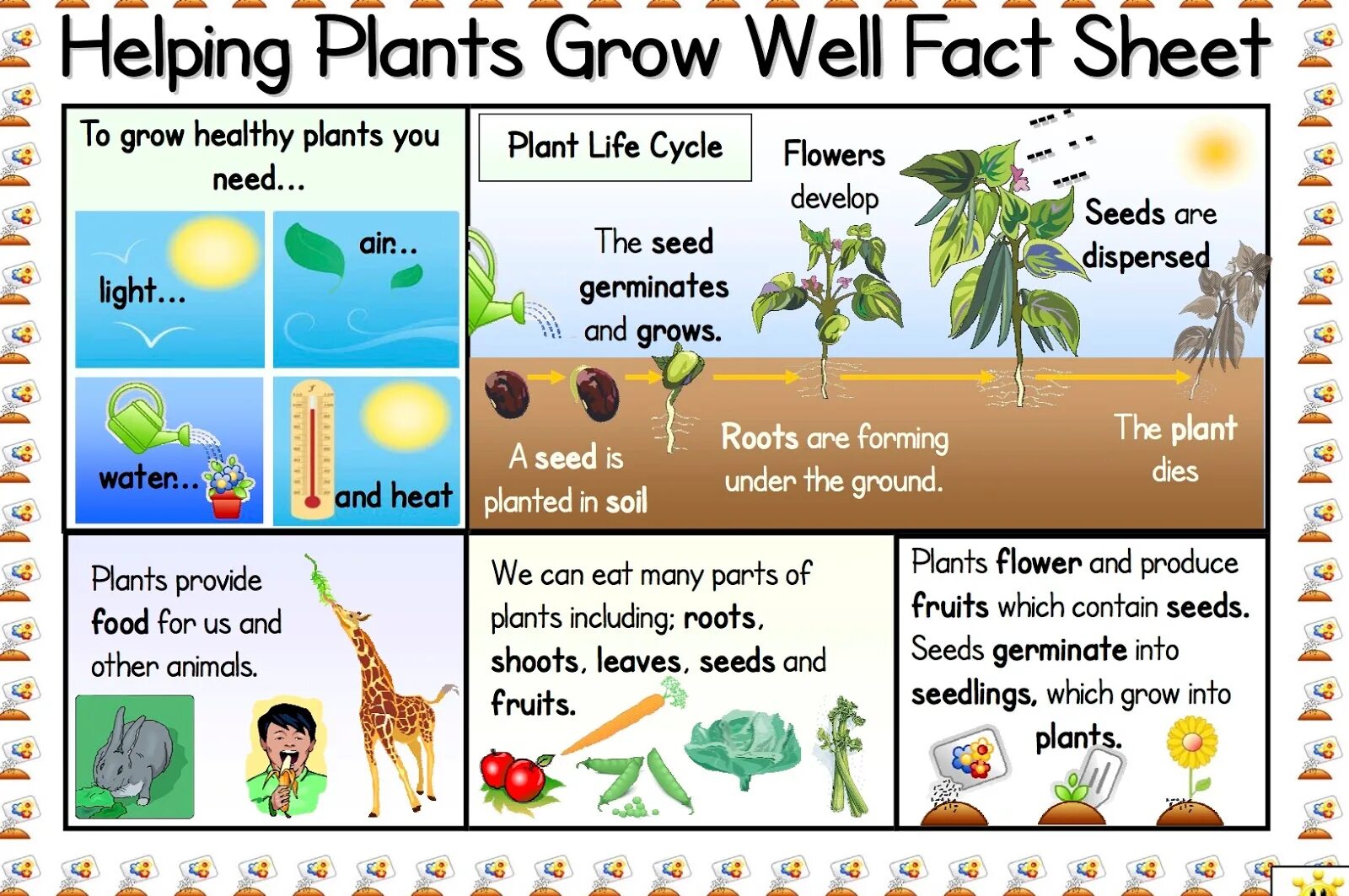 We grow well