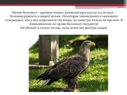 Большая редкость