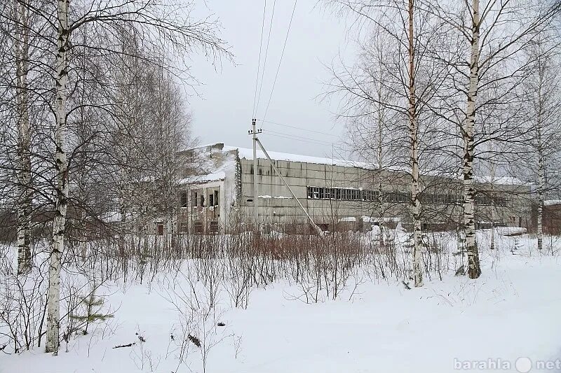 Поселок суда Вологодская область. Посёлок суда Череповецкий район Вологодская область. П суда Череповецкого района Вологодской области. Река Ильмеза Вологодская область. Квартиры п суда