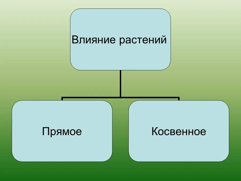 Влияние растений друг на друга. Влияние растений друг на друга экология. Прямое влияние растений друг на друга. Биотические влияние растений друг на друга.