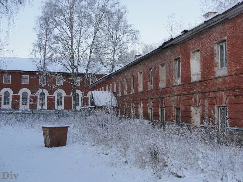 Новоселицы новгородская область