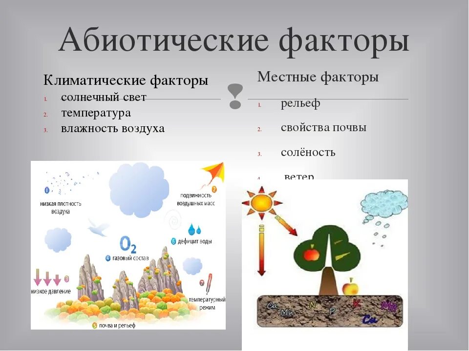 Абиотическими факторами природной среды. Абиотические экологические факторы. Абиотические факторы рельеф. Абиотические факторы среды. Абиотические местные факторы.