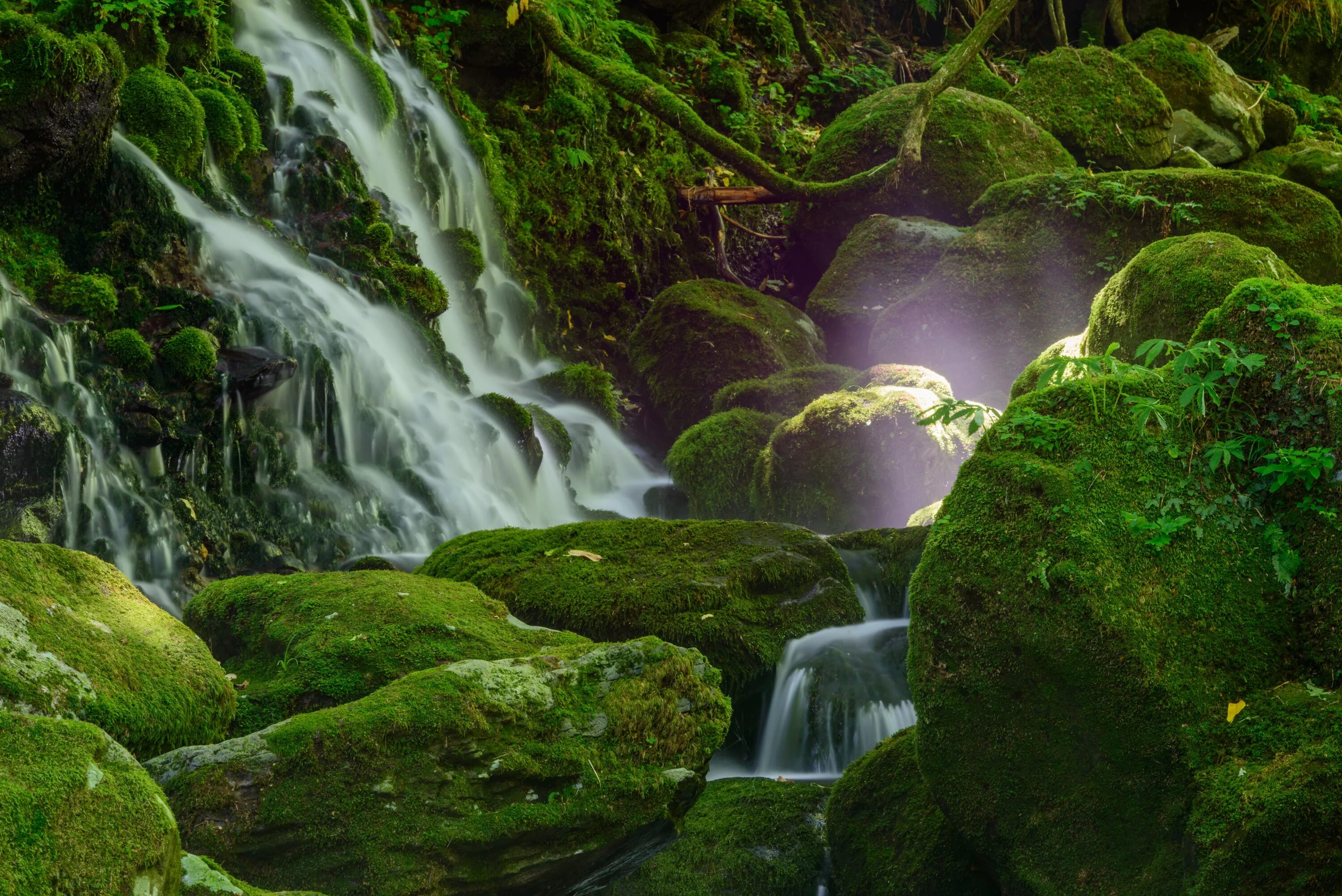 водопад зелень. зеленые водопады. манзара водопад. зеленые водопады. зеленый водопад.