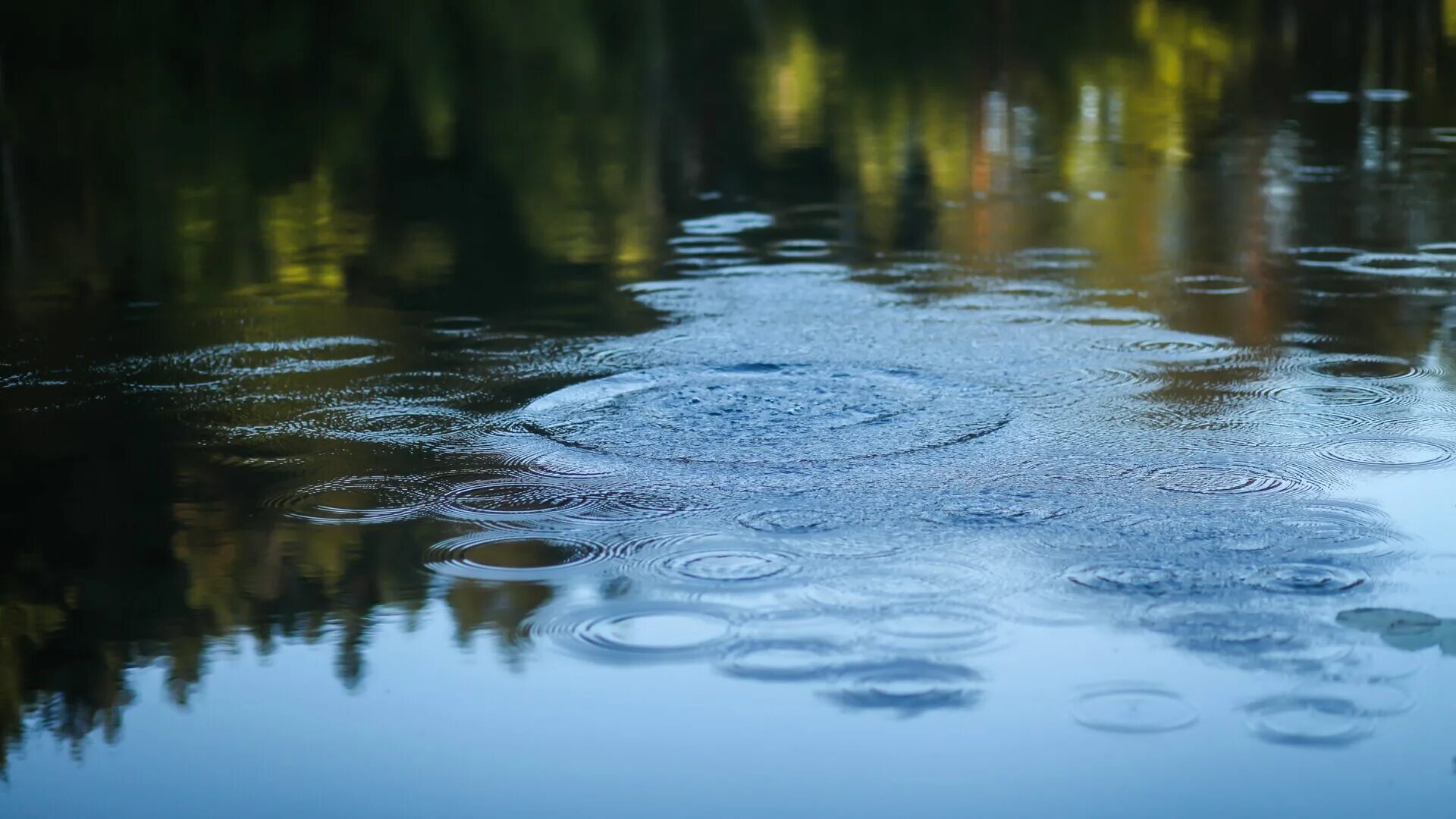 Круги на воде. Круги на воде озеро. Вода озеро. Вода в пруду.