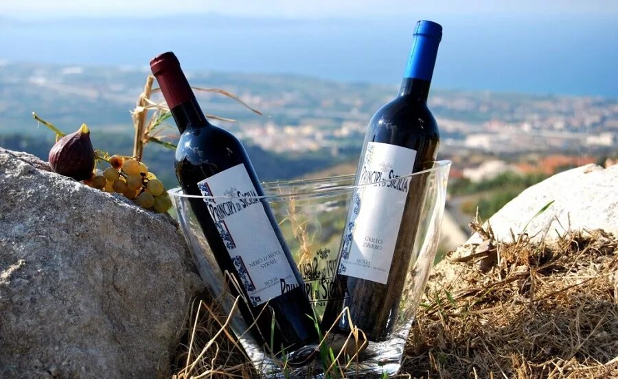 Самое первое вино. Вино Тоскана Италия. Сицилия винодельни. Винодельни Тосканы. Piemont, Италия винодельня.