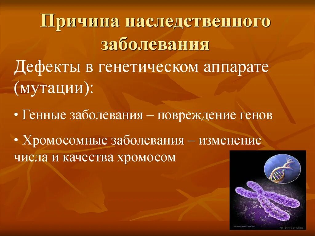 Основная причина наследственных заболеваний. Причины возникновения наследственных заболеваний. Причины наследственных болезней человека. Хромосомные наследственные болезни. Наследственные заболевания генные мутации.