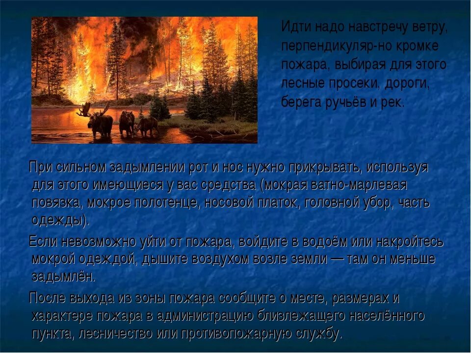 Профилактика лесных пожаров ОБЖ. Предотвращение лесных и торфяных пожаров. Профилактика по защите населения при торфяных пожарах. Защита населения от лесных и торфяных пожаров.