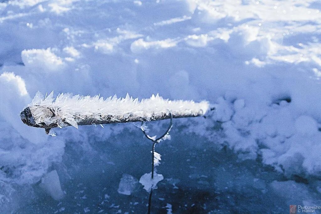 ледяное перо