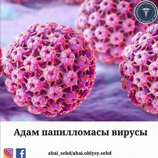 Вирус матки