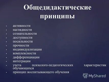 Общедидактические принципы обучения иностранному языку