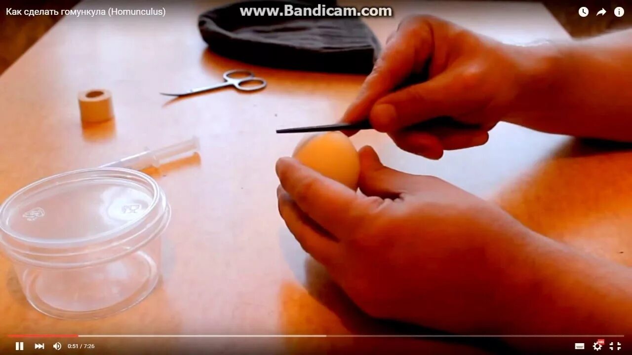 Как создать гомункула. Как создать гомункула. Как создать гомункула. Как создать гомункула. Гомункул своими руками.