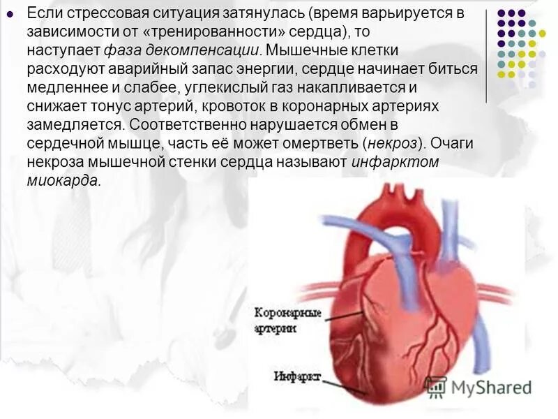 Понятие декомпенсация сердечной мышцы. Брадикардия порок сердца. Медленно бьется сердце как называется. Почему сердце бьётся. Брадикардия фотосток.