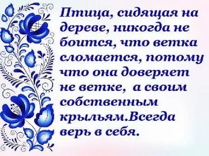 Птица сидящая на ветке не боится