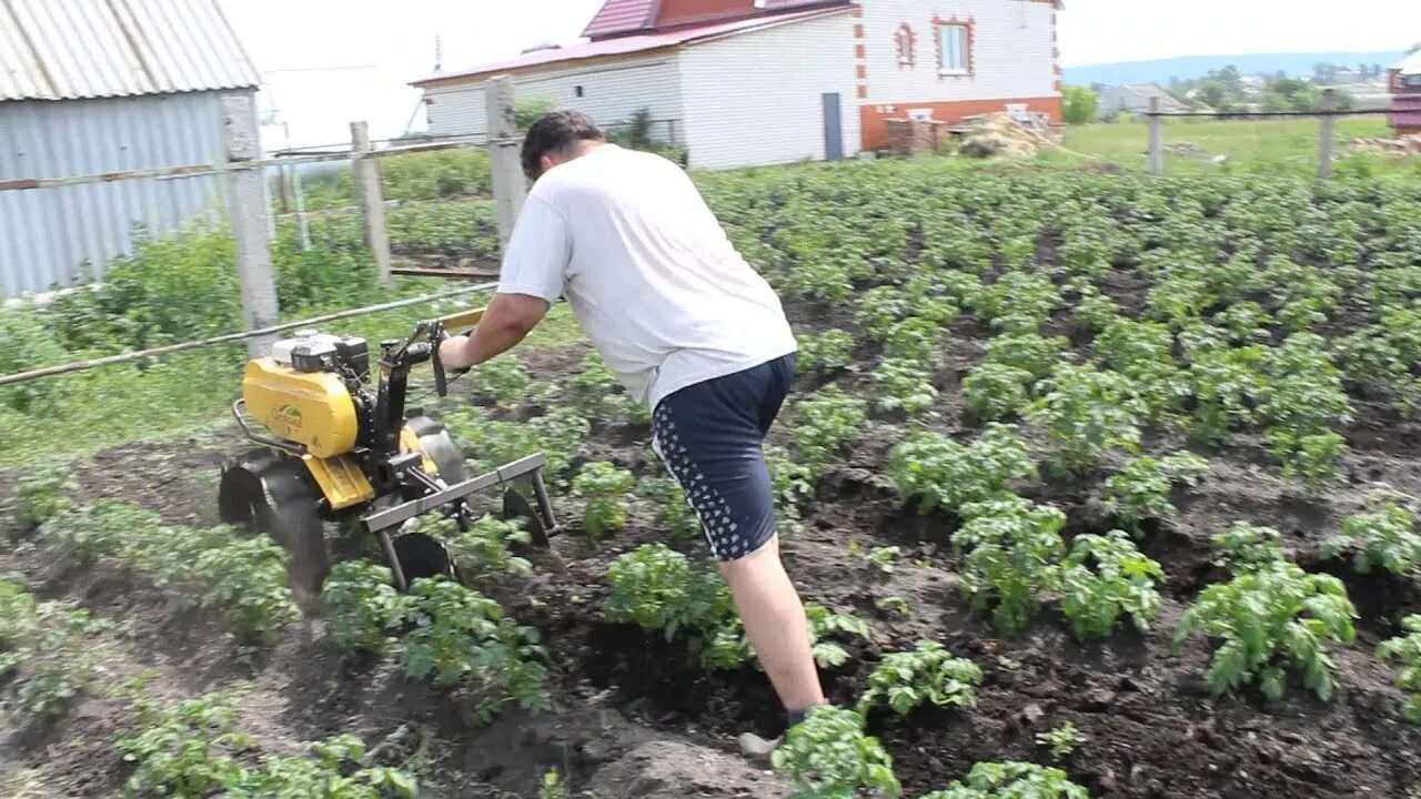 Мотоблок для вспашки. Вспахать целину мотоблоком. Культиватор агрос. Мотоблок целина. Пахать целину мотоблоком.