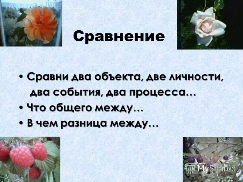 Сравнение объект средство. Сравнить 2 объекта. Сравни предметы. Сравнение системы менеджмента качества. Сравнить 2 объекта.