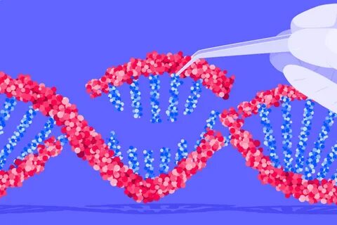 Dna up