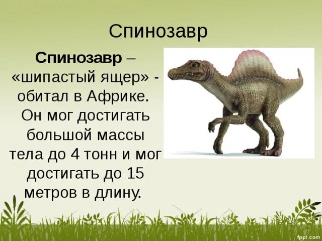 Спинозавр рост и вес. Спинозавр масса. Спинозавр вес и длина. Спинозавр информация. Ящер сканворд