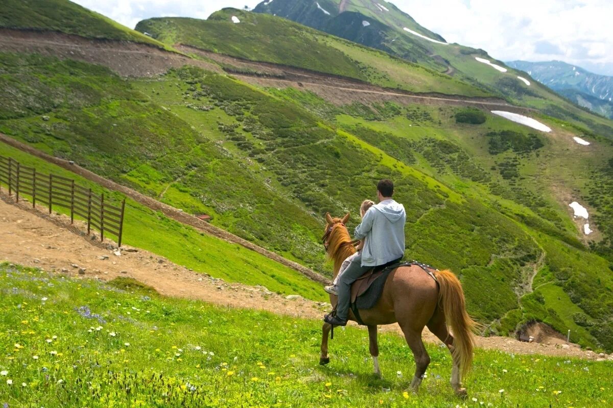 Конные прогулки адлер. Сочи конюшня Идальго. Конные прогулки красная Поляна Сочи. Альпийские Луга Абхазия Конная прогулка. Конная прогулка на лошадях в Сочи.