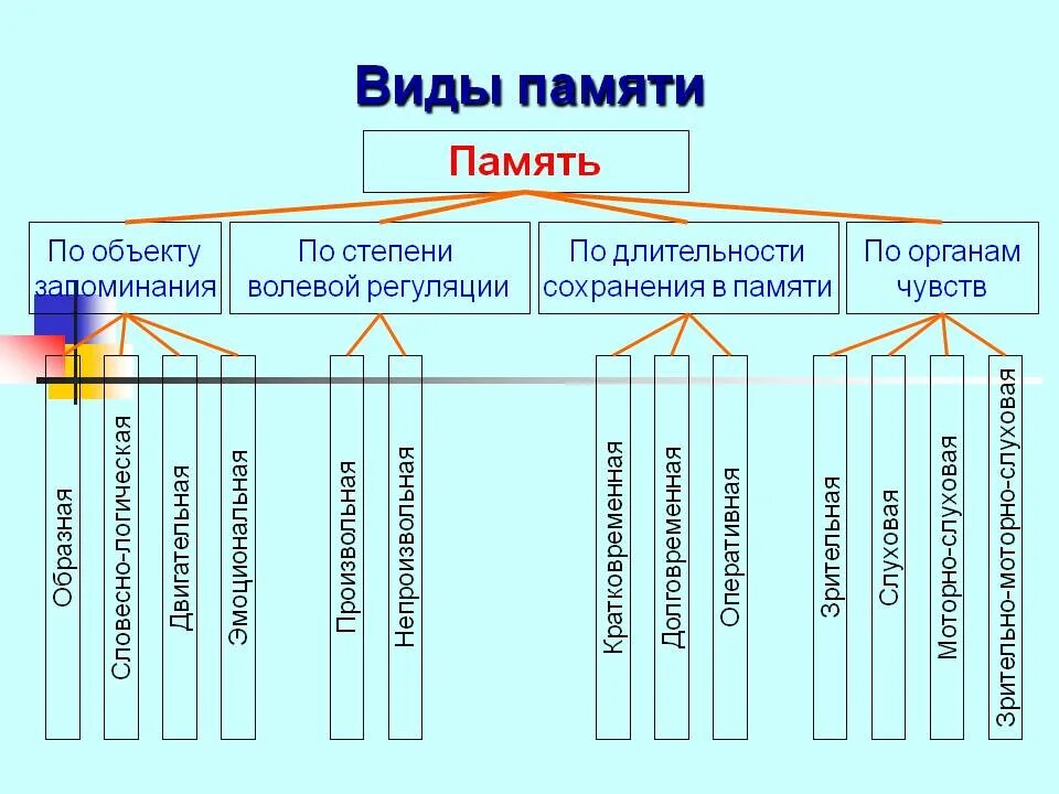 Какие типы памяти вы знаете. Характеристика видов памяти. Виды памяти по способу запоминания. Виды памяти человека и их особенности. Классификация видов памяти схема.