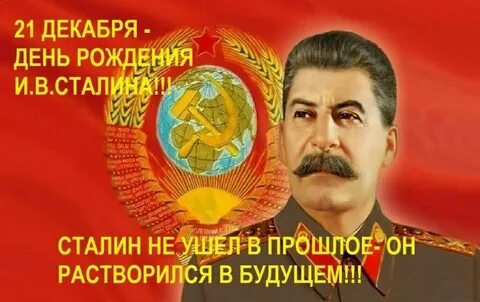 Др сталина