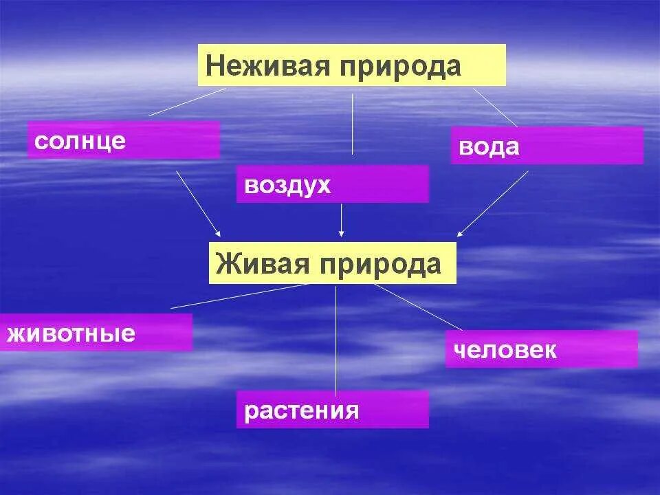 Приведи пример живое и неживое. Схема связи живой и неживой природы 2 класс окружающий мир. Схема связи живой и неживой природы 2 класс окружающий. Схема взаимодействия живой и неживой природы 2 класс окружающий. Связь между объектами живой и неживой природы схема 2 класс.