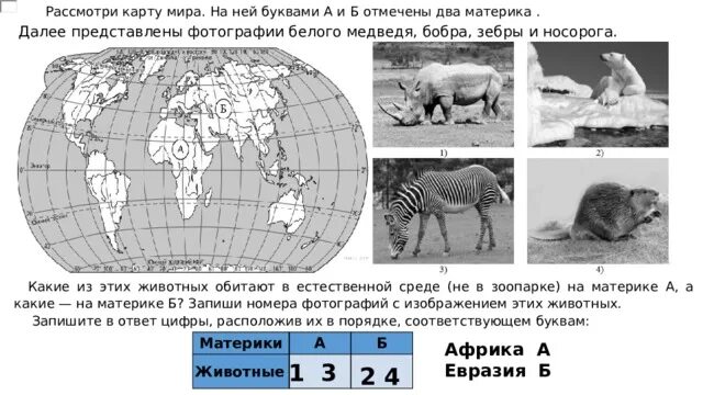 Впр животные северной америки. Рассмотри карту. На ней буквами. На каких материках обитают белые медведи и бобры. ВПР животные по материкам. Рассмотри карту на ней буквами а и б отмечены два материка.