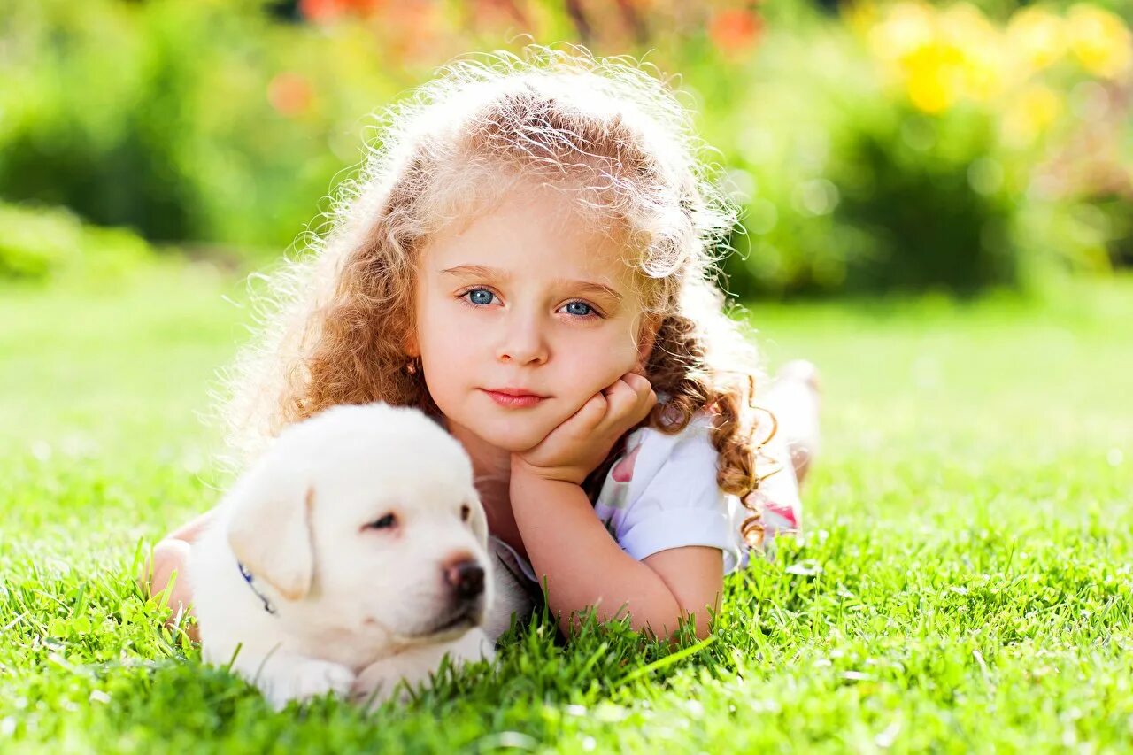 Девочка с собакой. Собака для детей. Про девочку и собачку. Про девочку и собачку. Красивые собаки девочки.