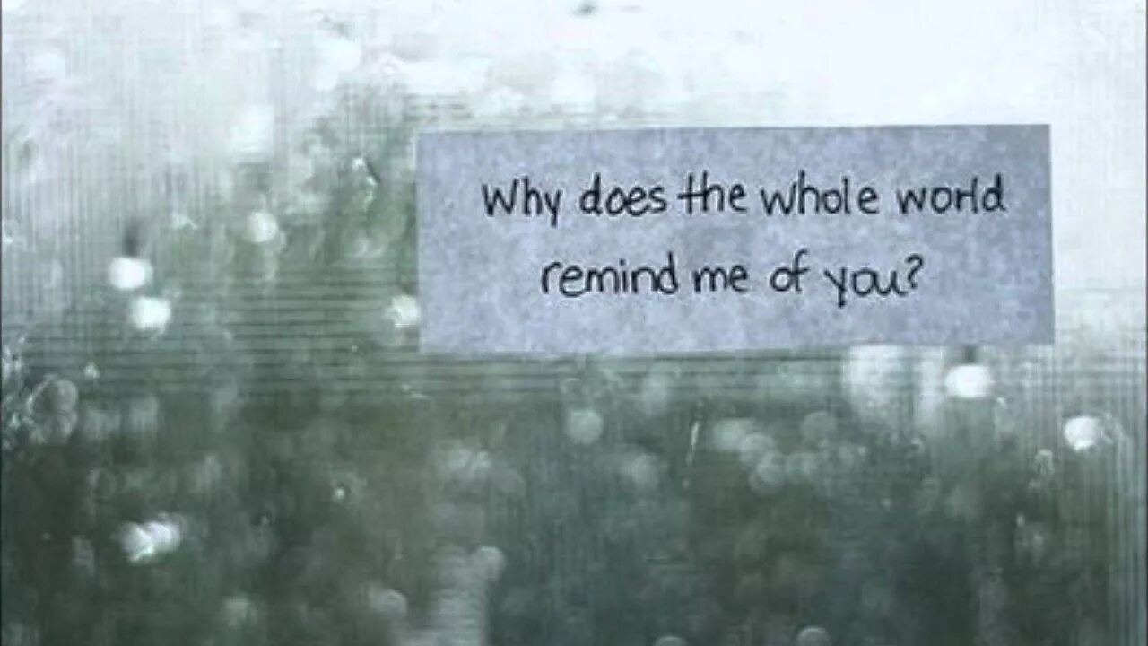 Why did you lost it