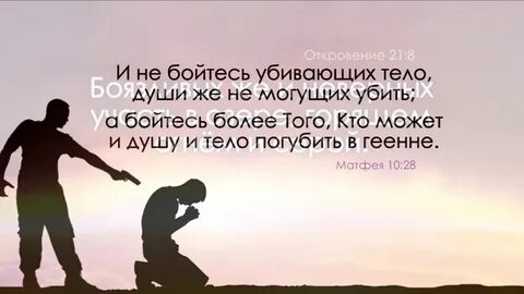 Не боясь и не тая