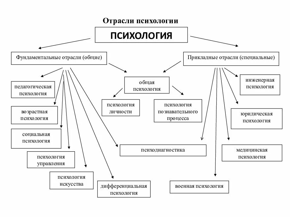 Классификация отраслей современной психологии. Основные отрасли психологии кратко. Фундаментальные отрасли научной психологии. Охарактеризуйте фундаментальные и прикладные отрасли психологии. Научные психологические организации