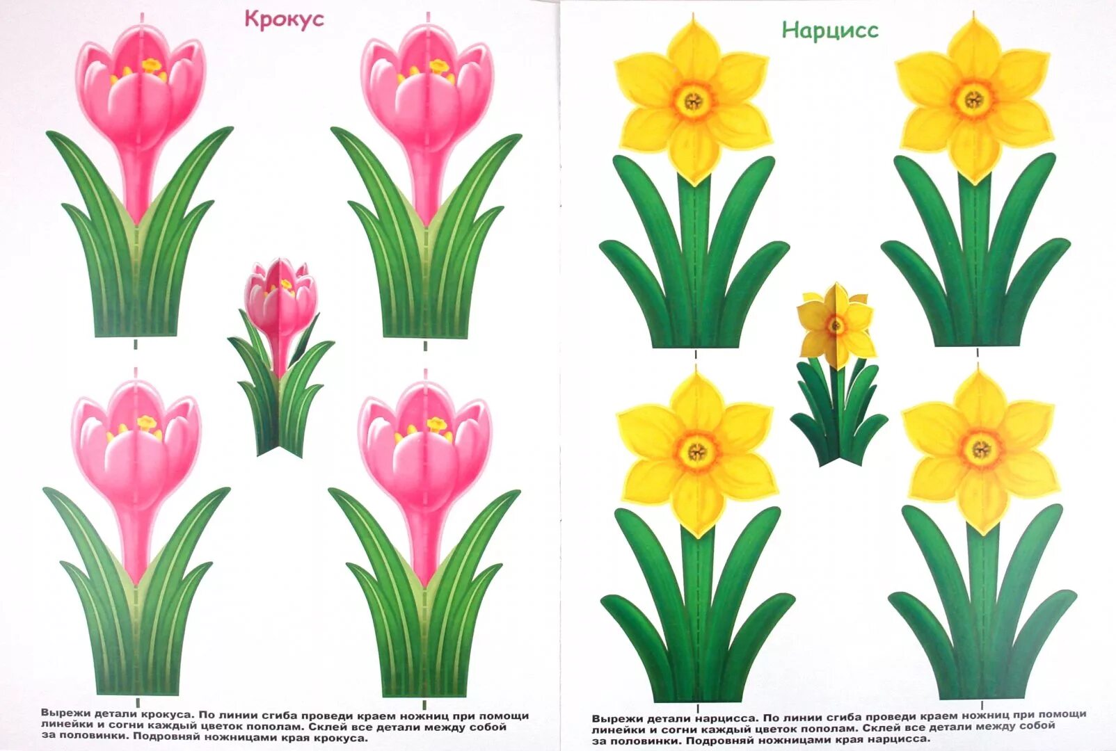 Крокус аппликация из бумаги. Весенние цветы вырезать. Цветочки для аппликации цветные. Цветы вырезать цветные. Цветы для вырезания из бумаги цветные.