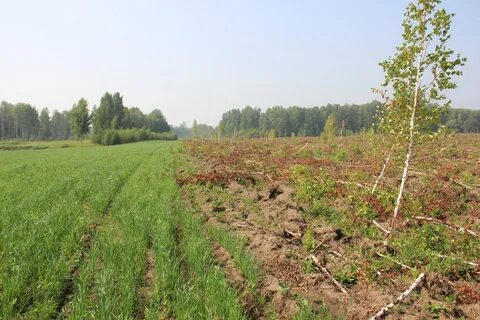 Продам земли с х назначения