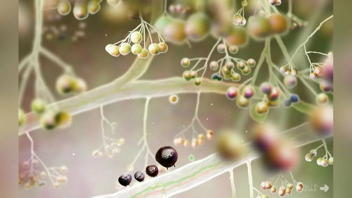 Ботаникула. Botanicula вики. аманита дизайн ботаникула. botanicula герои.